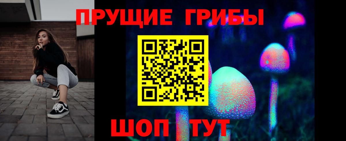 Северобайкальск  Галлюциногенные грибы Cubensis  Вход с VPN 
